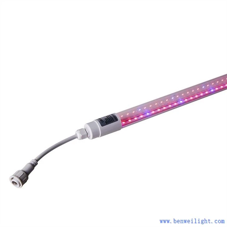 grow light lamps for indoor plants