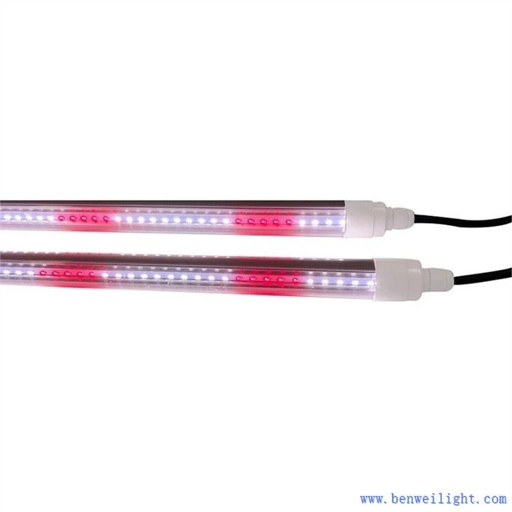Grow Light Led Untuk Benih Dan Hijau