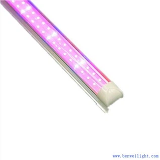 Tumbuhkan Depot Cahaya