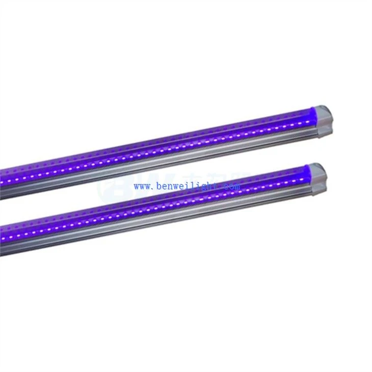Lampu Tabung Ruang UV