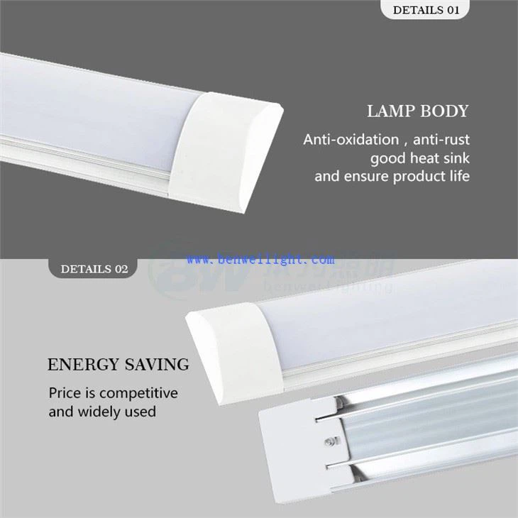 5ft Dimmable Led Reng Light
