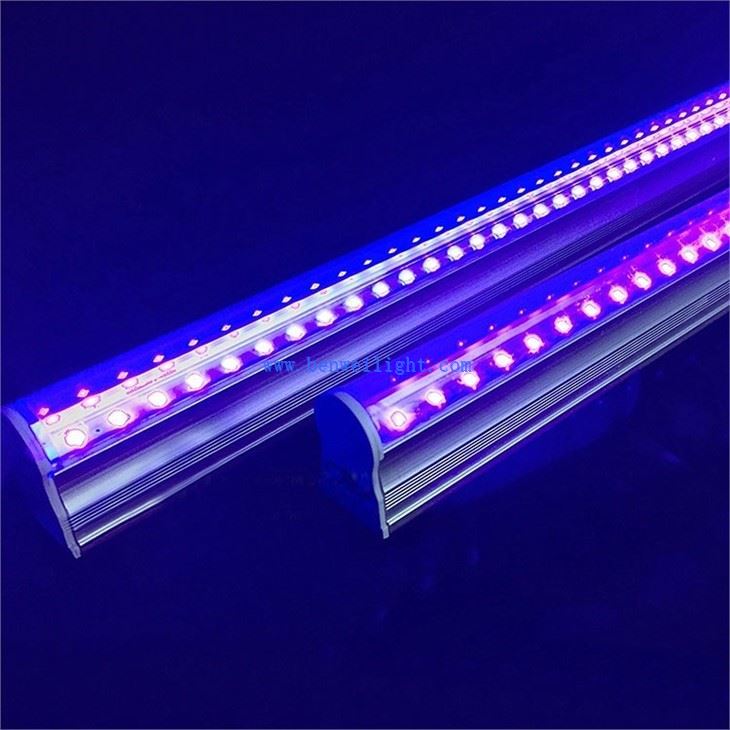 T8 Blacklight Tube