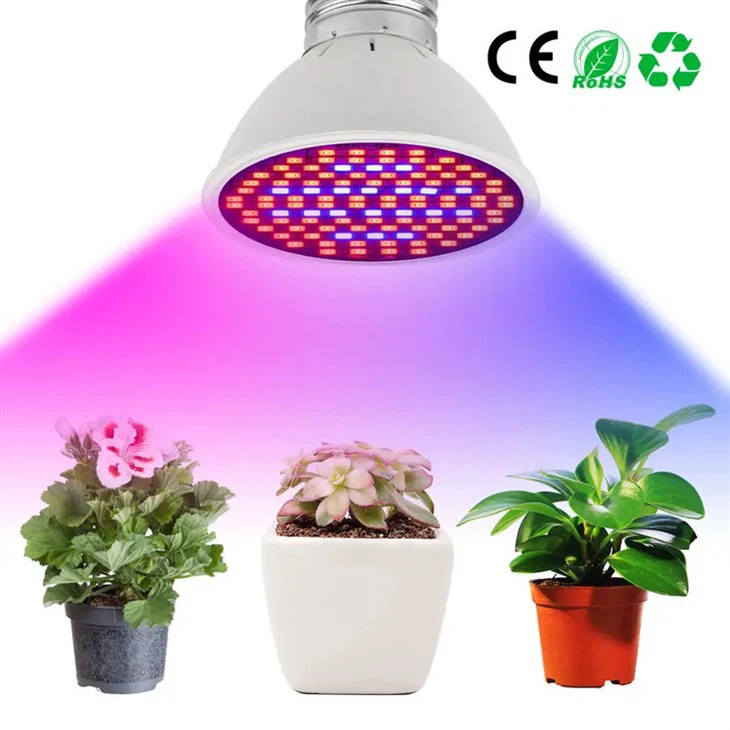 10W Par 30 LED Grow Bulb Untuk Tanaman Dalam Ruangan