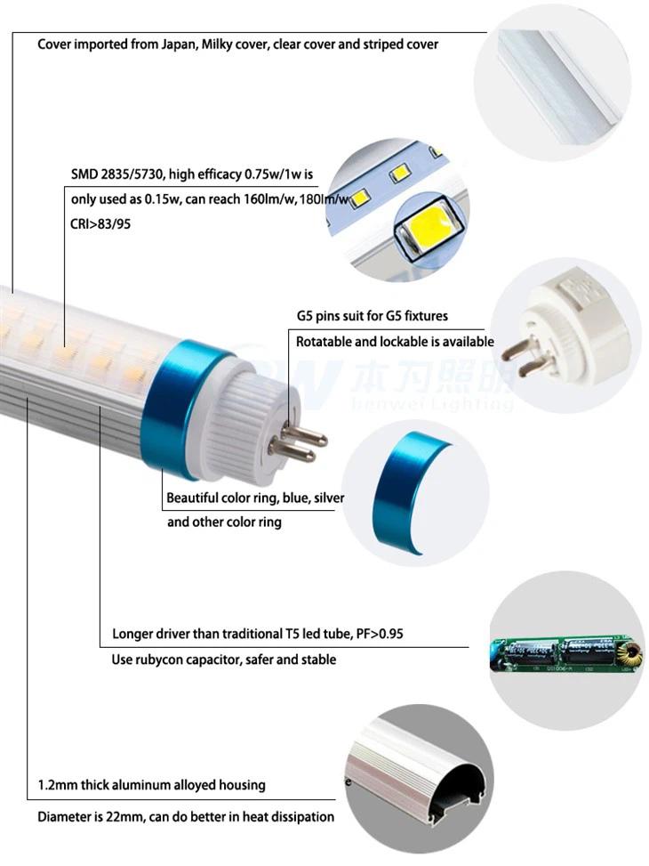 CRI 98 Full Spectrum Daylight LED Tube