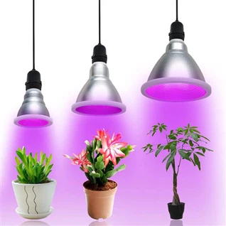 Bulb Hortikultura Spektrum Penuh Baru