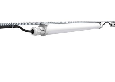 Pencahayaan LED Untuk Ayam Petelur