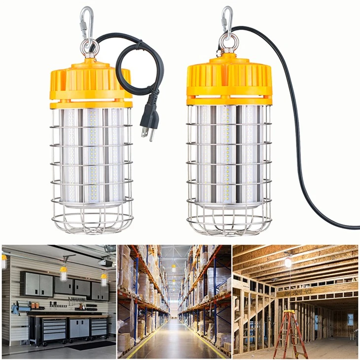 Pencahayaan Situs Sementara 20W 110v