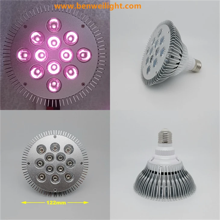 Bohlam PAR38 LED Inframerah 36W: 810nm/850nm/830nm/940nm NV