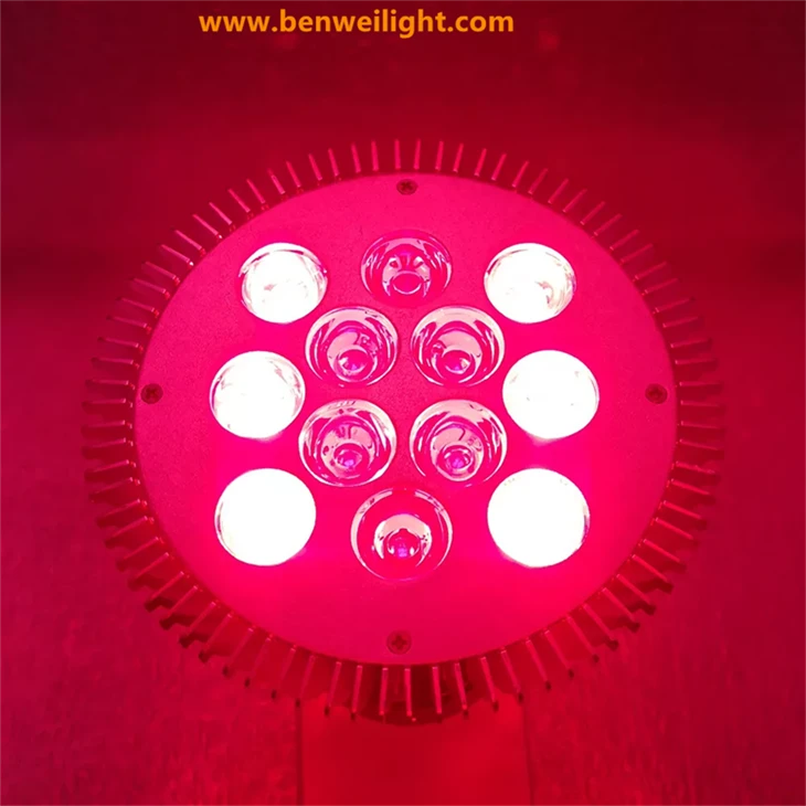 36W Infrared LED PAR38 Bulb: 810nm/850nm/830nm/940nm NV high quality