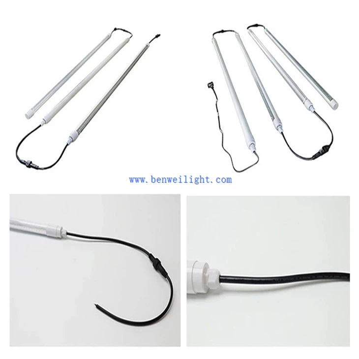 Clucker Coop Light (4)