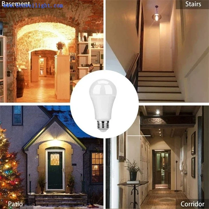 motion sensor light