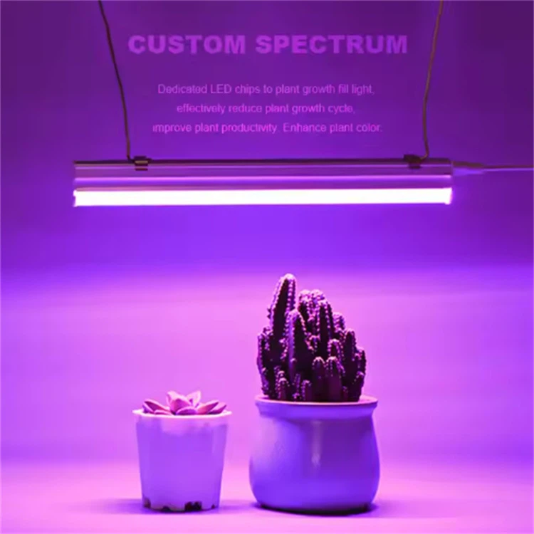 QQ20250514-100909 QQ20250514-100909