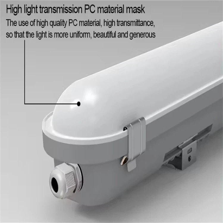 QQ20250319-101134 QQ20250319-101134