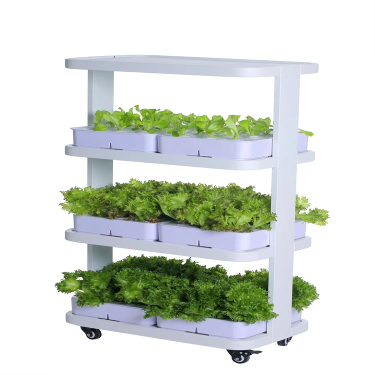 product-750-750