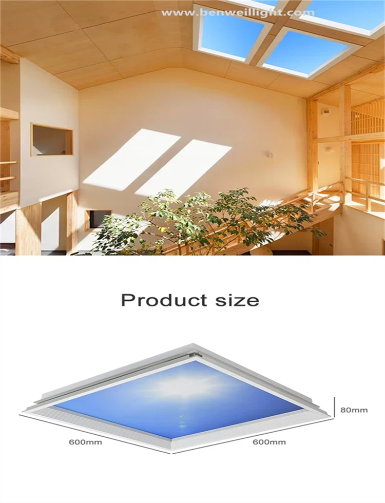 product-750-980 product-750-980