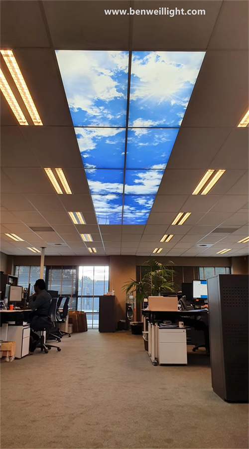 product-500-900 product-500-900