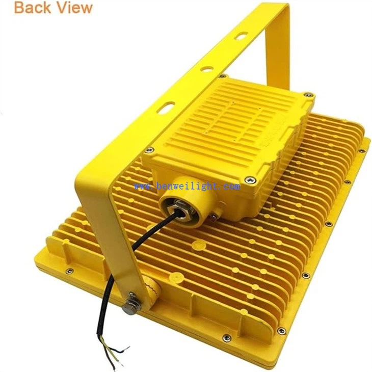 Safe Chemical Plant Flood Light (5)