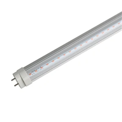 L36W/21-840 Lampu DULUX Compact Fluo 36W 2G11 4P