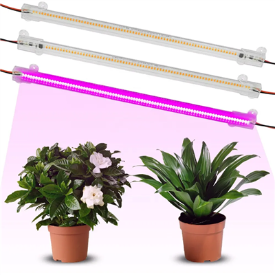 Premium AC220V SMD Rigid LED Grow Light Bar - Spektrum Penuh Untuk Sistem Hidroponik