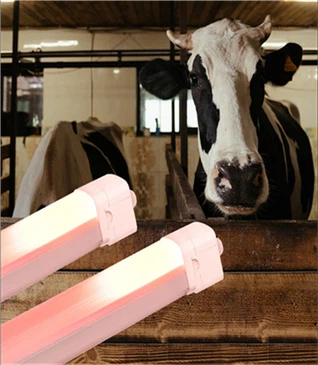 Lampu Peternakan LED IP66 Cerdas (Susu/Unggas)